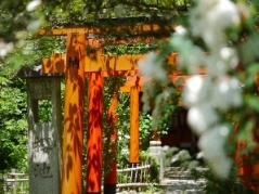 平野神社境内