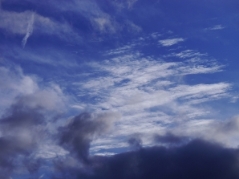 梅雨の晴れ間