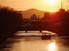 琵琶湖疎水の夕焼け