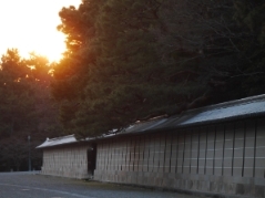 京都御所・夕方