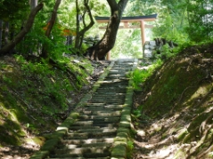 吉田神社参道