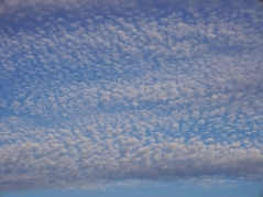 秋の空(20170903)