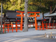 吉田神社(20180305)